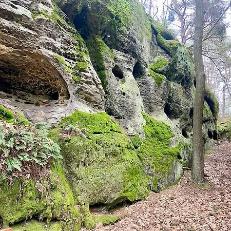 Prázdninový dům Kokorinsko Mseno