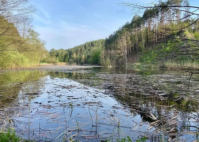 Holiday home Kokorinsko Mseno