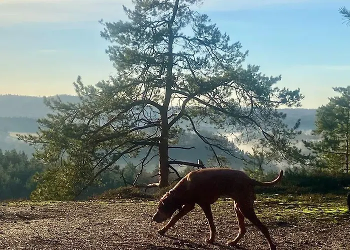 Holiday home Kokorinsko *