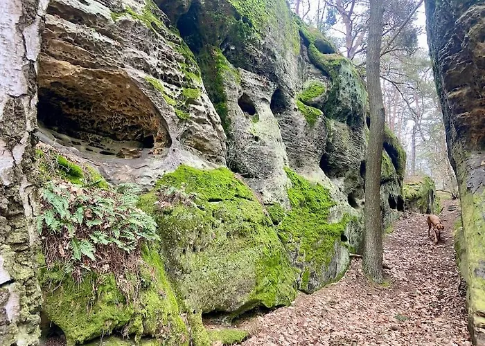 Holiday home Kokorinsko Mseno